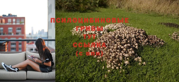 трава Горнозаводск