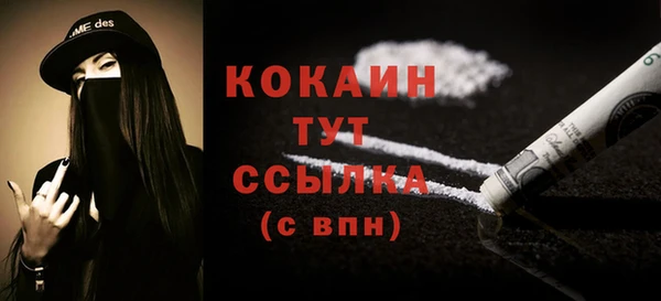 спайс Гусь-Хрустальный