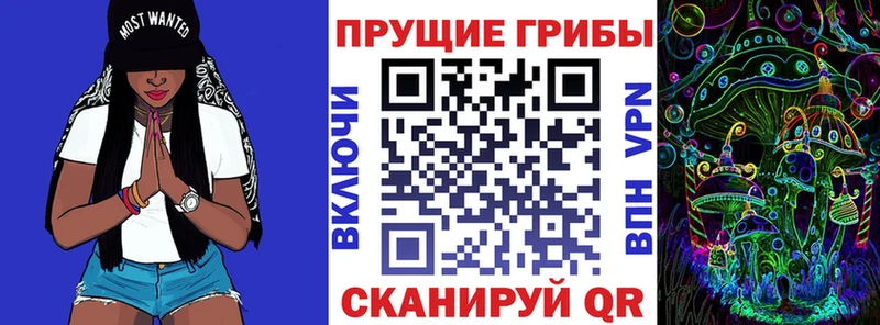 Галлюциногенные грибы ЛСД ссылка на мегу сайт Кадников купить наркоту